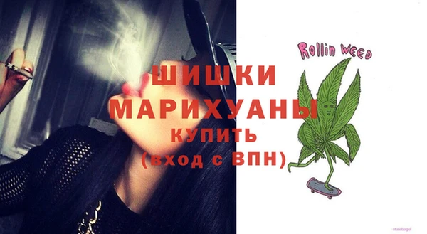 твердый Бронницы