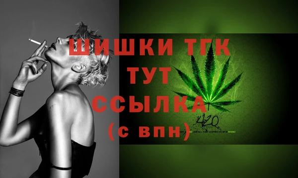 твердый Бронницы