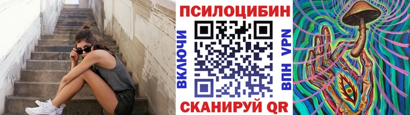 Купить закладки Стародуб Псилоцибиновые грибы Cubensis